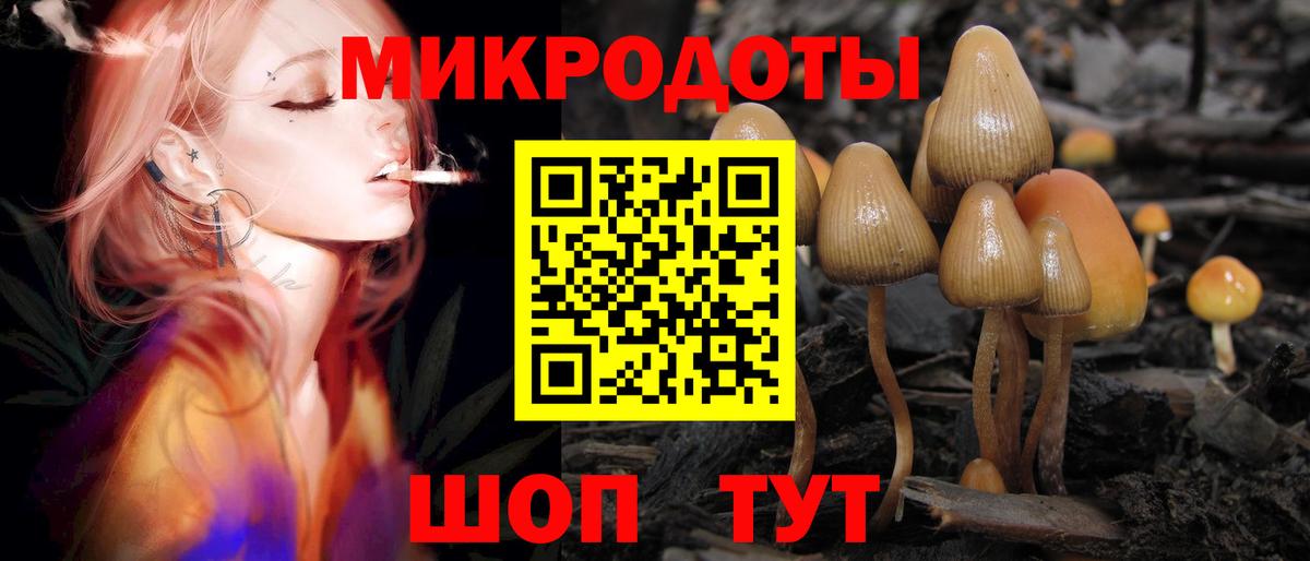 Благодарный  Псилоцибиновые грибы GOLDEN TEACHER  Псилоцибиновые грибы GOLDEN TEACHER  Вход с VPN 